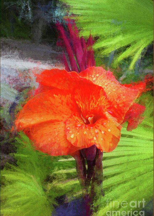 Mona Stut Greeting Card featuring the mixed media Orange Red Canna Lily by Mona Stut