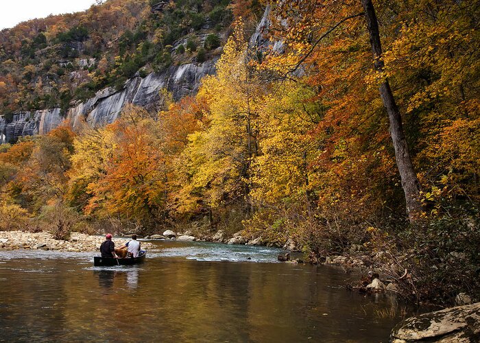 Fall Color Greeting Card featuring the photograph Canoeing the Buffalo River at Steel Creek by Michael Dougherty