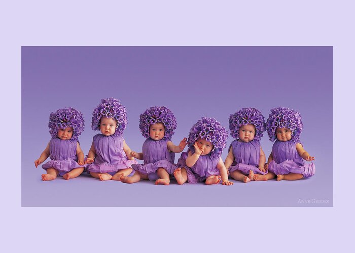 Purple Greeting Card featuring the photograph Cantebury Bells by Anne Geddes