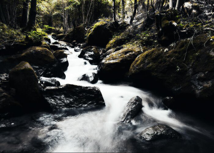  Greeting Card featuring the photograph Canyon Stream by Digital Art Cafe