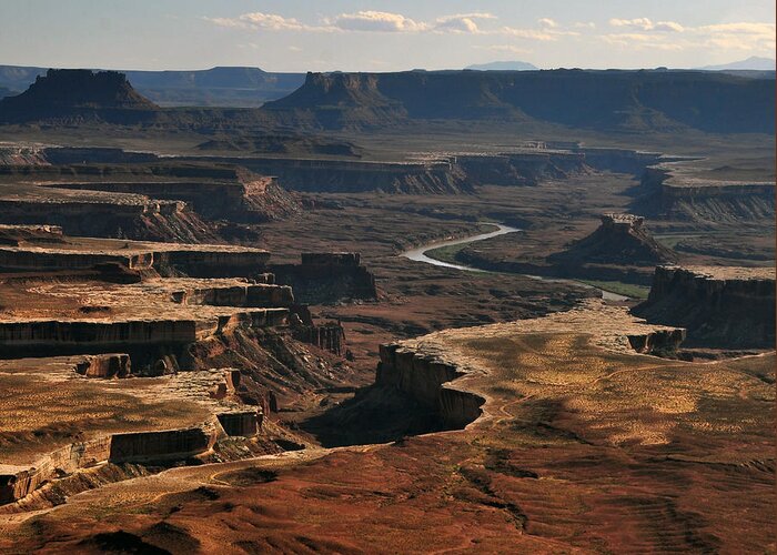 Canyonlands Greeting Card featuring the photograph Canyonlands by Stevyn Llewellyn