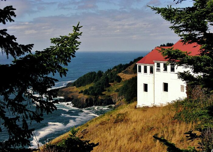 Cape Foulweather Point Greeting Card featuring the photograph Cape Foulweather Point by Marilyn Smith