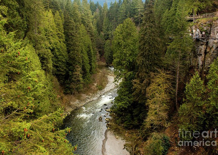 Capilano River Greeting Card featuring the photograph Capilano River by Ivete Basso Photography