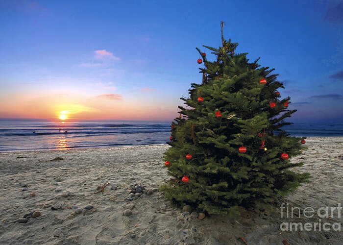 Christmas Greeting Card featuring the photograph Cardiff Christmas Tree by Daniel Knighton