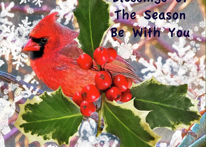 Expression Greeting Card featuring the photograph Cardinal and Holly by Constantine Gregory