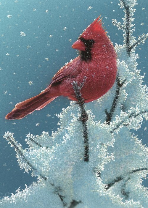 Cardinal Painting Greeting Card featuring the painting Cardinal - Cherry on Top by Collin Bogle