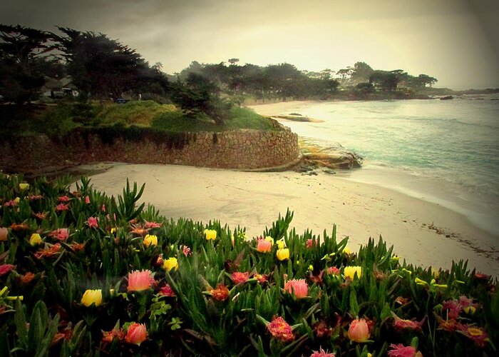 Beach Greeting Card featuring the photograph Carmel Beach And Iceplant by Joyce Dickens