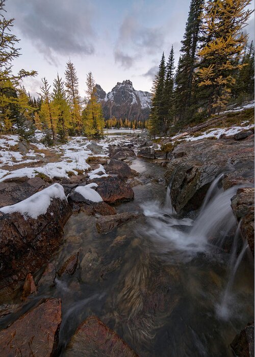 Lake O Hara Greeting Card featuring the photograph Cascading by Emily Dickey