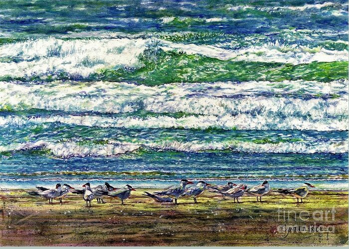 Coastal Birds Greeting Card featuring the painting Caspian Terns by the Ocean by Cynthia Pride