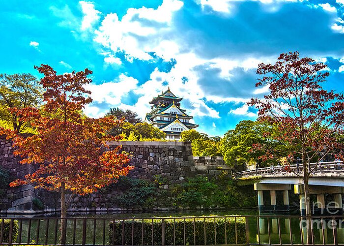 Castle Greeting Card featuring the photograph Castle in Osaka by Pravine Chester