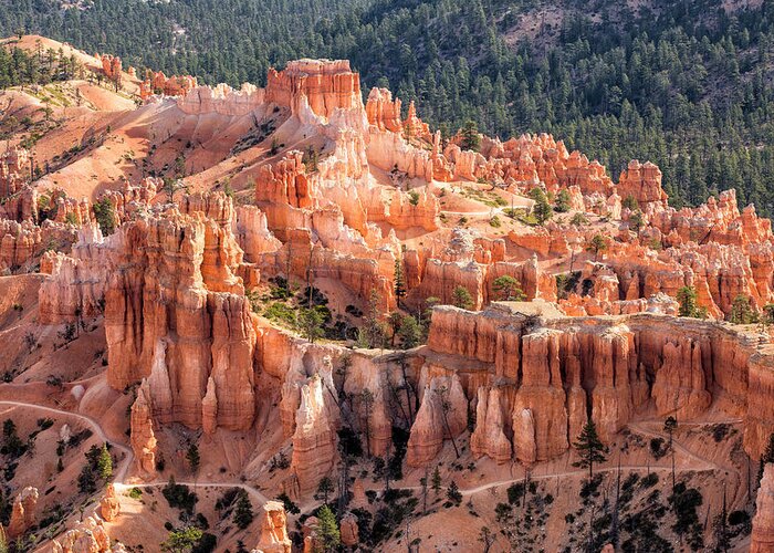 Bryce Greeting Card featuring the photograph Castle Path by Denise Bush