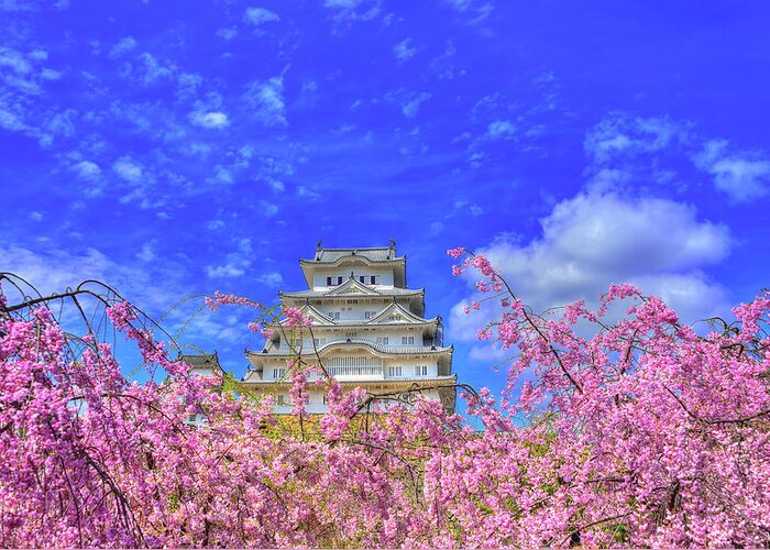 Himeji Castle Greeting Card featuring the photograph Castle's Blossom by Midori Chan