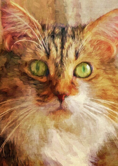 Cat Greeting Card featuring the photograph Cat Portrait - Pretty Girl by HH Photography of Florida
