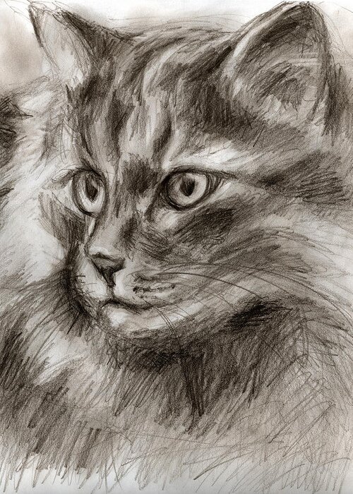 Cat Drawing Greeting Card featuring the drawing Cat study drawing no two by Hiroko Sakai