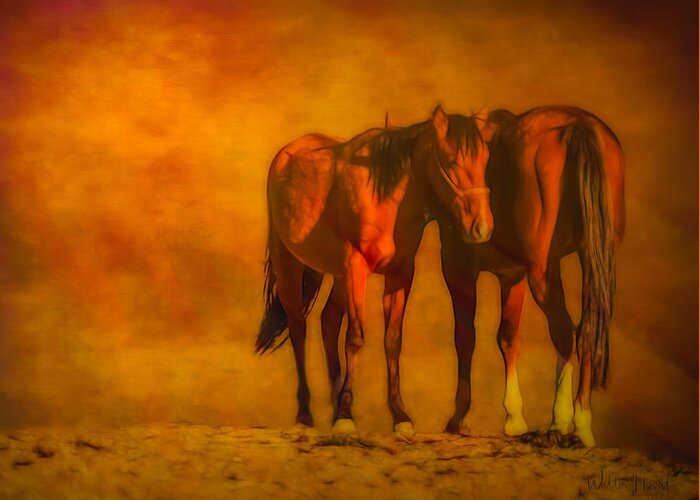 Horse Greeting Card featuring the painting Catching the Last Sun Digital Painting by Walter Herrit