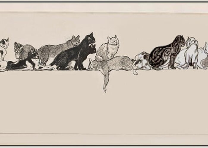 Steinlen 'seventeen Cats On A Ledge' 1901 Graphite And Chalk On Paper Greeting Card featuring the painting Cats on a Ledge by MotionAge Designs