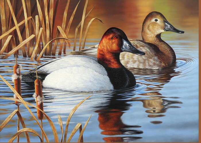 Canvasback Ducks Greeting Card featuring the painting Cattails and Canvasbacks by Guy Crittenden
