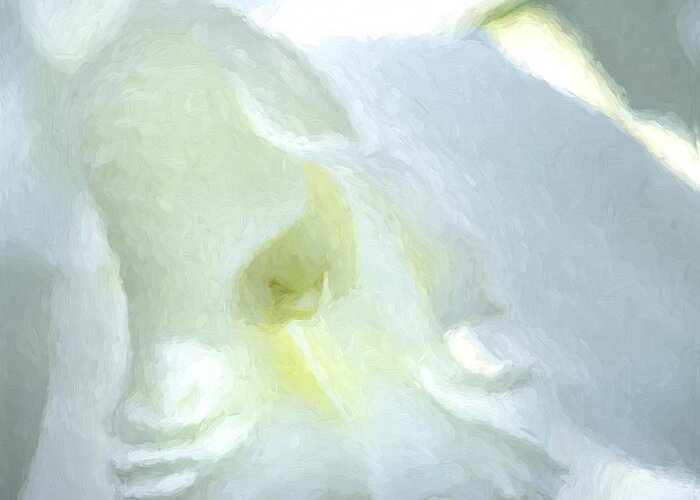 Blossom Greeting Card featuring the photograph Cattleya Orchid #3 by George Robinson