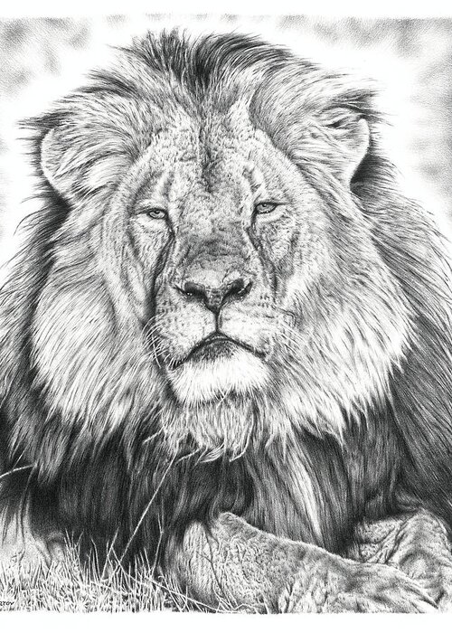 Cecil The Lion Greeting Card featuring the drawing Cecil The Lion by Casey 'Remrov' Vormer