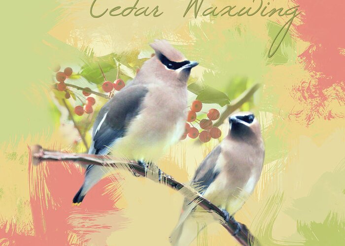 Cedar Waxwing Greeting Card featuring the photograph Cedar Waxwing Watercolor Photo by Hermes Fine Art