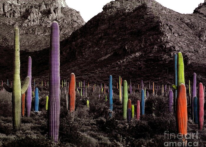  Cactus Greeting Card featuring the photograph Celebrate Diversity by Joanne West