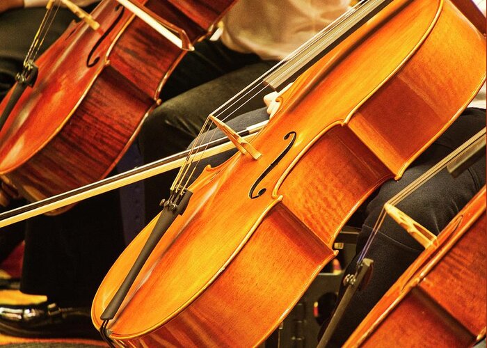 A Row Of Cellos At A Recent Suzuki Music Workshop In Madison Greeting Card featuring the photograph Cellos by Steven Ralser