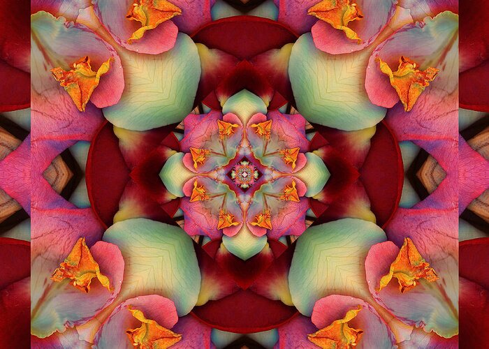 Yoga Art Greeting Card featuring the photograph CenterPeace by Bell And Todd