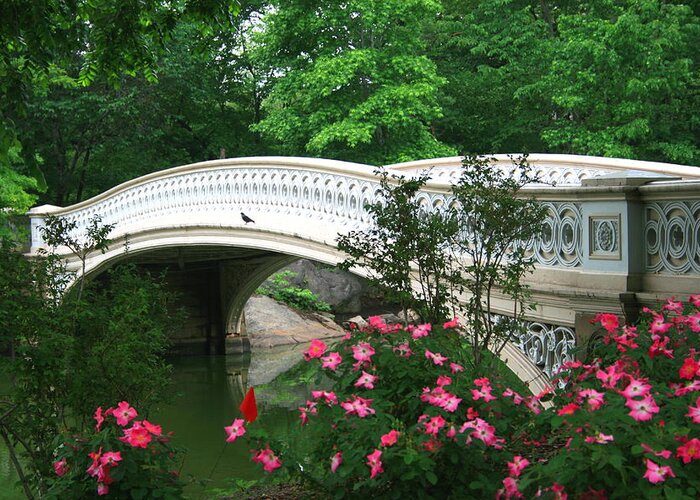 Central Park Greeting Card featuring the photograph Central Park Bow Bridge in Spring by Christopher J Kirby