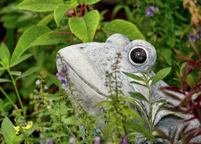Frog Greeting Card featuring the photograph Ceramic Frog by John Black