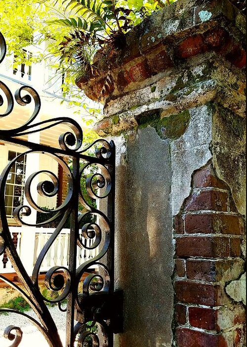 Wrought Iron Greeting Card featuring the photograph Charleston Gate by Amy Regenbogen