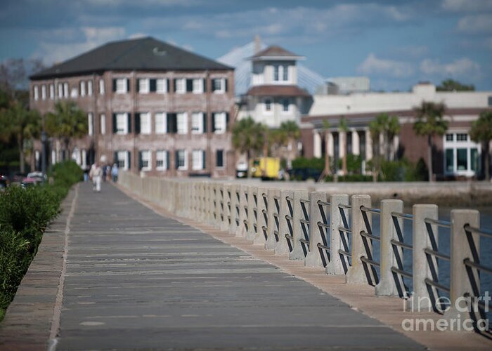 Sidewalk Greeting Card featuring the photograph Charleston High Battery Side Walk by Dale Powell