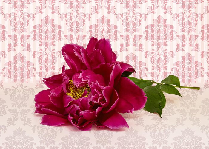 Red Peony Blossom Greeting Card featuring the photograph Charming Lady by Marina Kojukhova