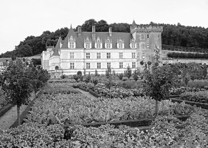 Europe Greeting Card featuring the photograph Chateau Villandry Vegetable and Flower Gardens #1 by Joseph Hendrix