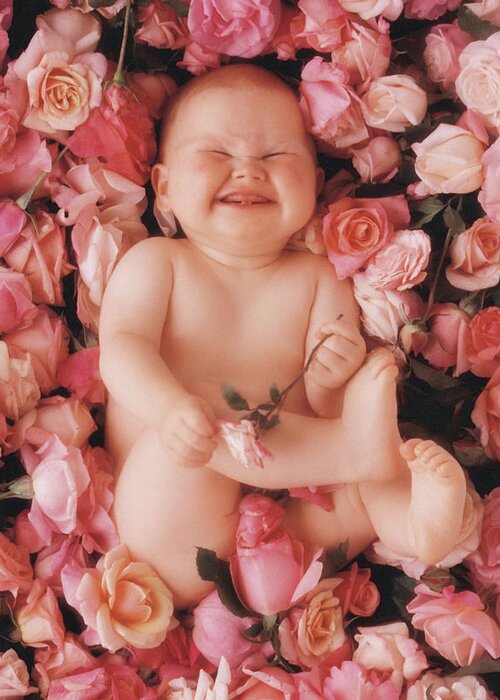 Roses Greeting Card featuring the photograph Cheesecake by Anne Geddes