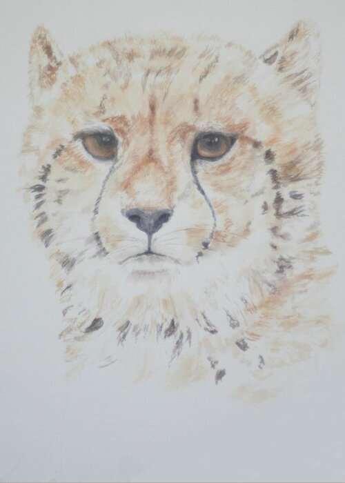 Cheetah Greeting Card featuring the painting Cheetah Cushion by David Capon
