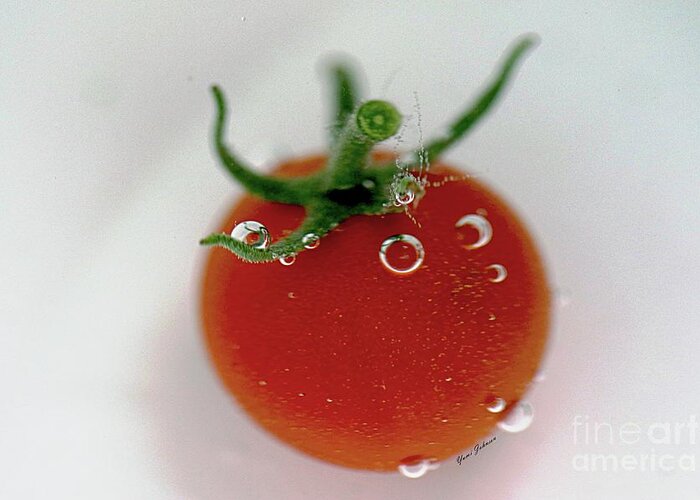 Cherry Tomato Greeting Card featuring the photograph Cherry Tomato in water by Yumi Johnson