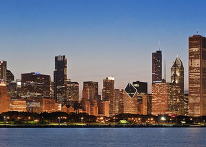 Chicago Greeting Card featuring the photograph Chicago 2011 Skyline by Donald Schwartz