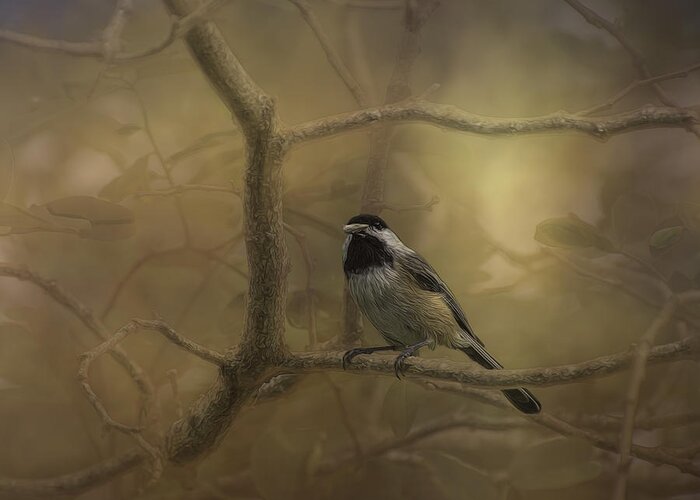 Birds Greeting Card featuring the photograph Chickadee by Mary Clough
