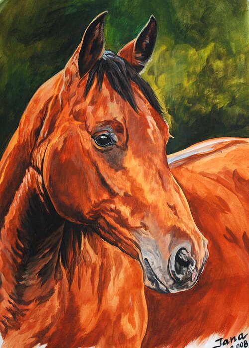 Quarter Horse Greeting Card featuring the painting Chico by Jana Goode