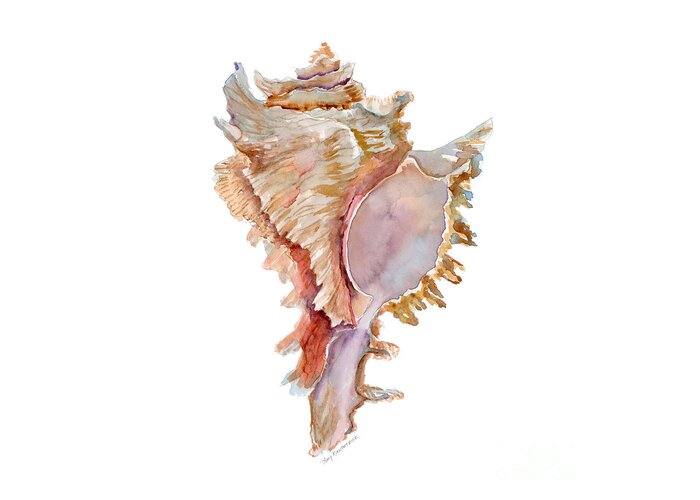 Shell Greeting Card featuring the painting Chicoreus Ramosus Shell by Amy Kirkpatrick