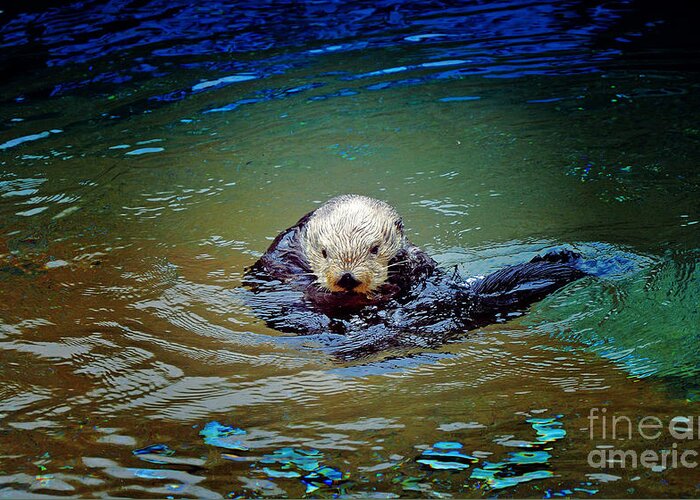 Sea Otter Greeting Card featuring the photograph Chillin by Frank Larkin