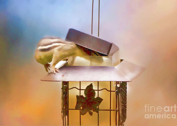 Chipmunk Greeting Card featuring the photograph Chipmunk at the Feeder 2 Nursery triptych by Eleanor Abramson