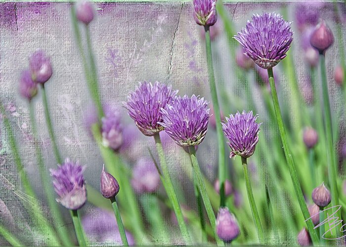Agriculture Greeting Card featuring the digital art Chives in texture by Debra Baldwin