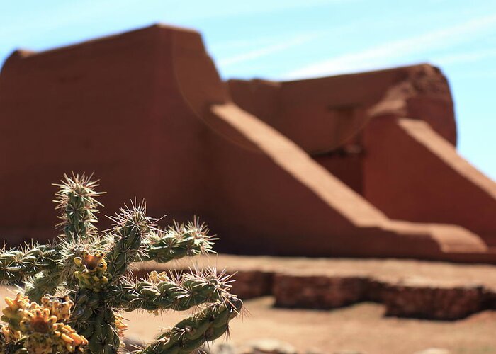 Cholla Greeting Card featuring the photograph Cholla at the Pecos Pueblo Mission by David Diaz