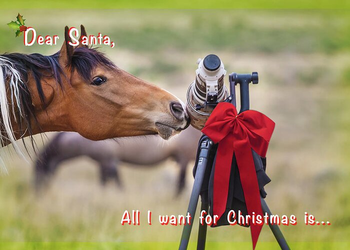 Great Basin Greeting Card featuring the photograph Christmas List for Santa by Sylvia J Zarco