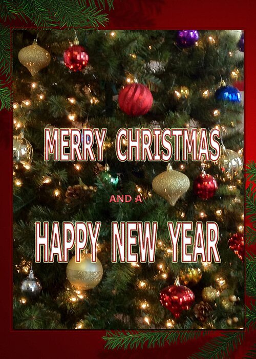 Christmas New Year Card Greeting Card featuring the photograph Christmas New Year Card by Debra   Vatalaro