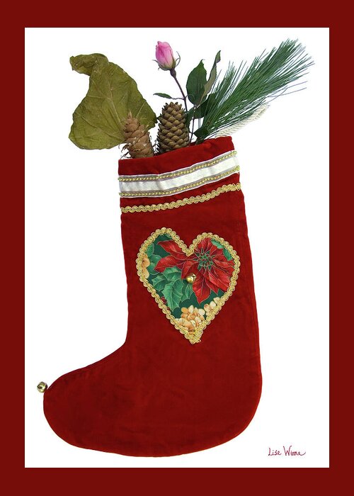 Lise Winne Greeting Card featuring the photograph Christmas Stocking with Nature Gifts by Lise Winne