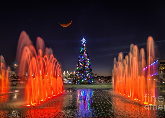 Tampa Greeting Card featuring the photograph Christmas Tree In Curtis Hixon Park by Jason Ludwig Photography