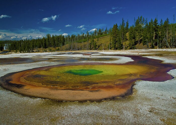 Yellowstone Greeting Card featuring the photograph Chromatic Pool by Roger Mullenhour