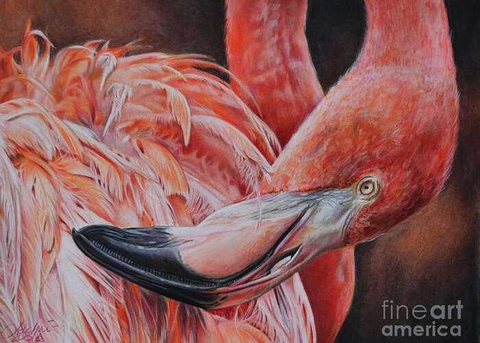 Flamingo Greeting Card featuring the painting Cinder by Lachri